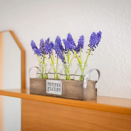 Schneckenhalde App 18 Appartement