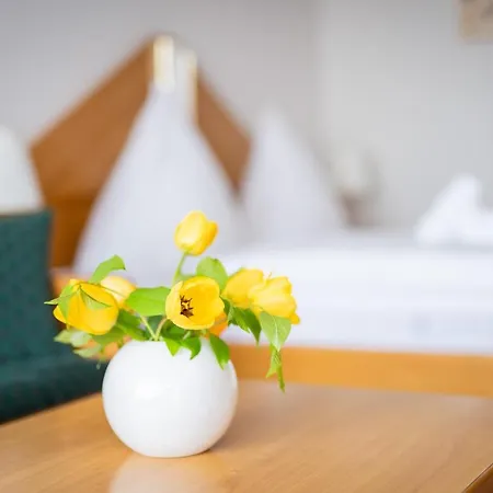 Schneckenhalde App 18 * Bad Säckingen