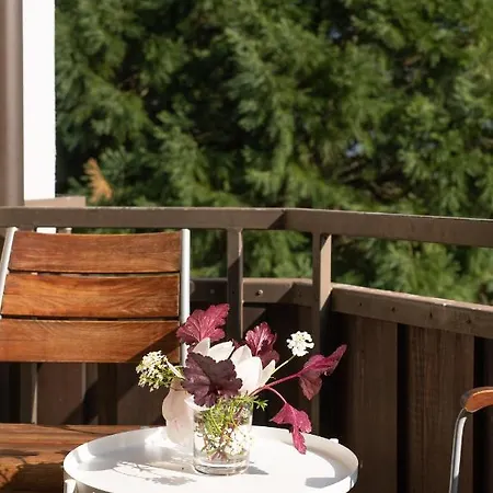 Schneckenhalde App 18