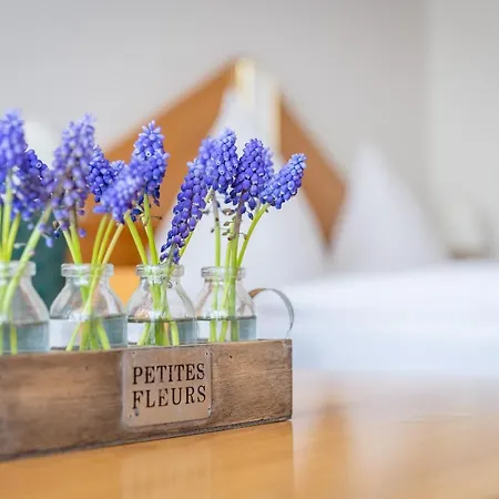 Schneckenhalde App 18 Appartement Bad Säckingen